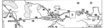 图片_x0020_100009