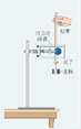 图片_x0020_100022