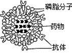 图片_x0020_100004