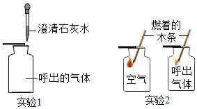 图片_x0020_495208689