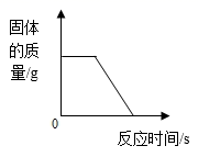 图片_x0020_1064268090