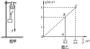 图片_x0020_100022