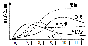 图片_x0020_100014