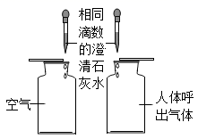 图片_x0020_2115847267