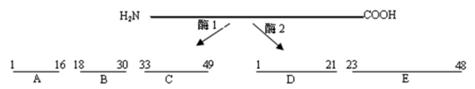 图片_x0020_100016