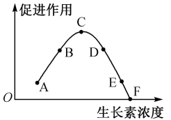 图片_x0020_100007