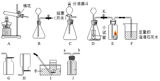 图片_x0020_2064879021