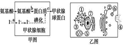 图片_x0020_100024