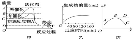 图片_x0020_100013