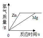 图片_x0020_1527014942