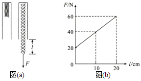 图片_x0020_100024