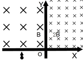图片_x0020_100015