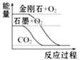 图片_x0020_100016