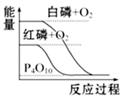 图片_x0020_100017