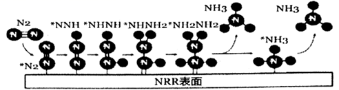 图片_x0020_100005