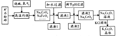 图片_x0020_100012
