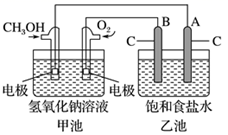 图片_x0020_100019