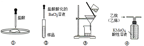 图片_x0020_100003
