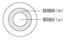 图片_x0020_100013