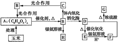 图片_x0020_100056