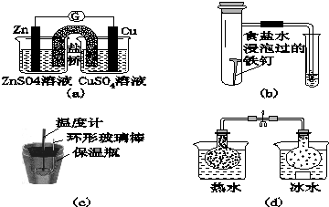 图片_x0020_100008