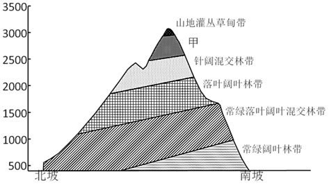 图片_x0020_522002617