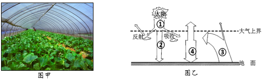 图片_x0020_100025