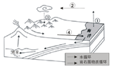 图片_x0020_100015