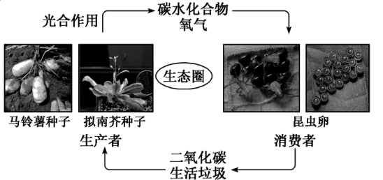 图片_x0020_100017