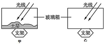 图片_x0020_518497545