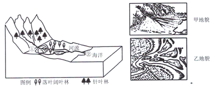 图片_x0020_100023