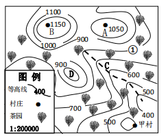 图片_x0020_100007