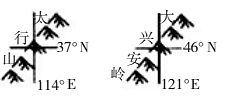 图片_x0020_560841905