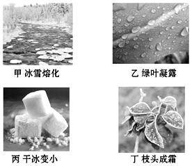 图片_x0020_100005