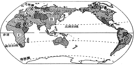 图片_x0020_100015