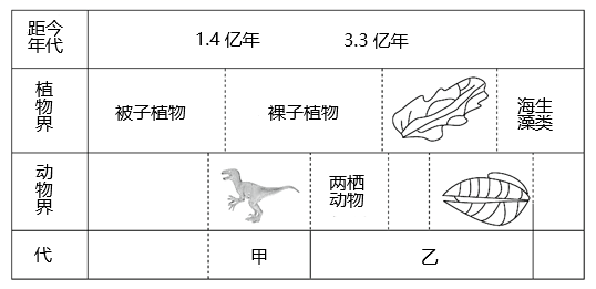 图片_x0020_1560606067