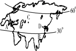 图片_x0020_1559501155