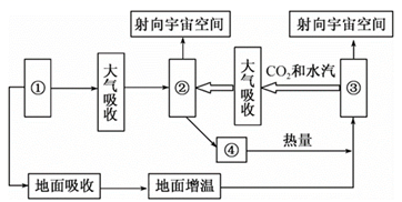 图片_x0020_100006