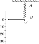 图片_x0020_100013