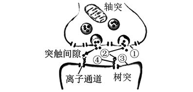 图片_x0020_100001
