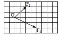 图片_x0020_100016