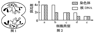 图片_x0020_78735672