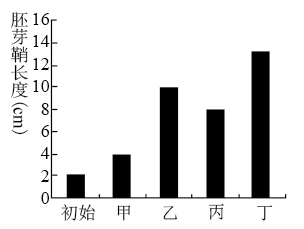 图片_x0020_676715304