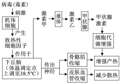 图片_x0020_888094137