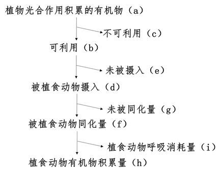 图片_x0020_2044033440