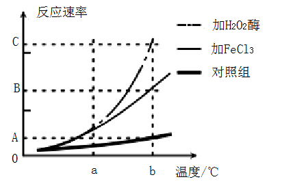 图片_x0020_317444485
