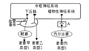 图片_x0020_1076550967