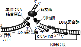 图片_x0020_554215985