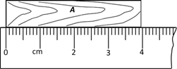 图片_x0020_100010