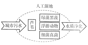 图片_x0020_100009